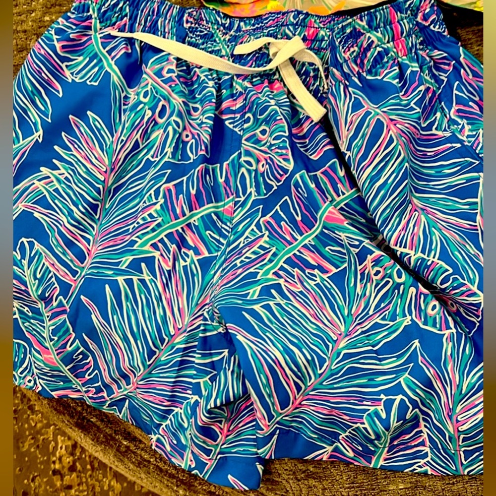 men’s chubbies swim trunk